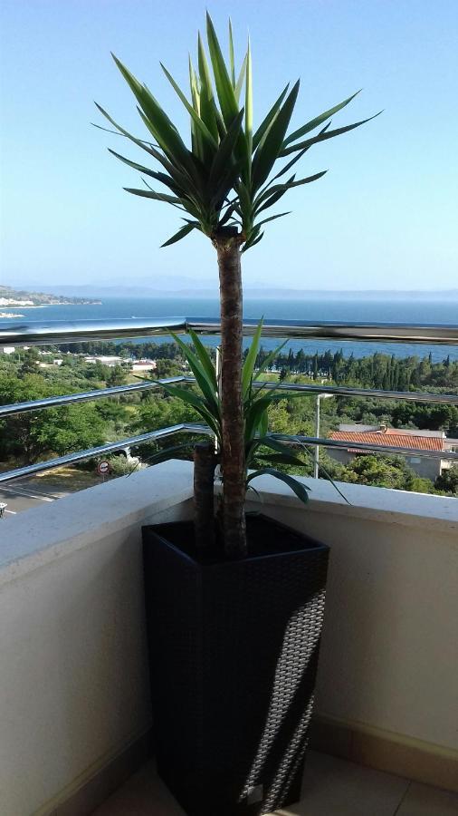 Apartment Lijana Sea View Tučepi Extérieur photo